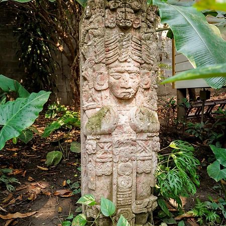 Angeli Gardens Boutique Hotel San Pedro Sula Eksteriør billede