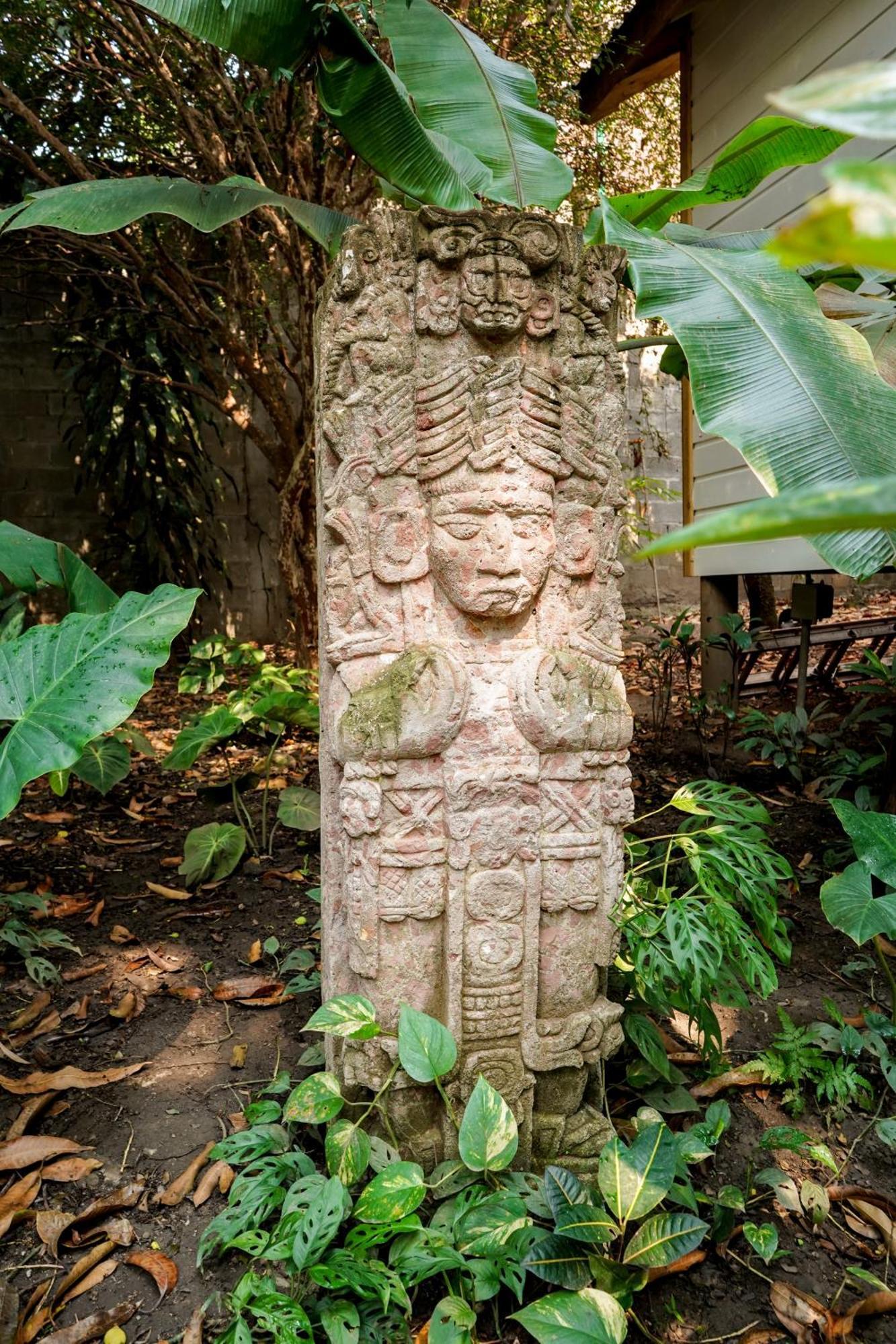 Angeli Gardens Boutique Hotel San Pedro Sula Eksteriør billede
